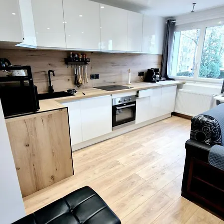 Le Necy, Entierement Renove En 2025 Apartment Annecy